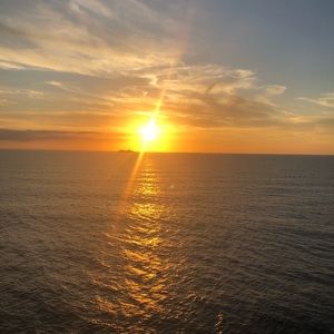 Meet your Posher, Patty